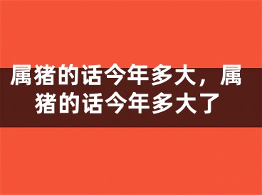 属猪的话今年多大，属猪的话今年多大了