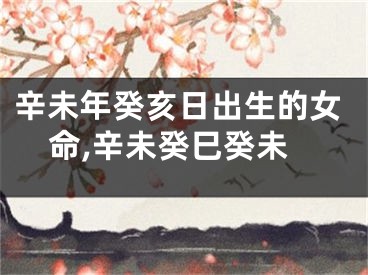 辛未年癸亥日出生的女命,辛未癸巳癸未