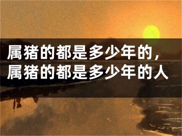 属猪的都是多少年的,属猪的都是多少年的人