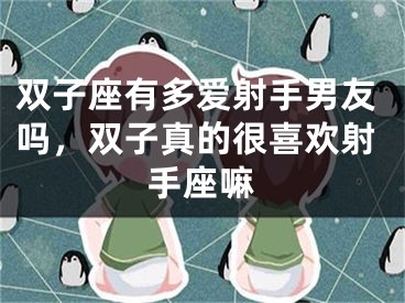 双子座有多爱射手男友吗，双子真的很喜欢射手座嘛