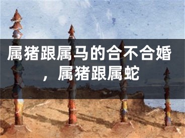 属猪跟属马的合不合婚,属猪跟属蛇