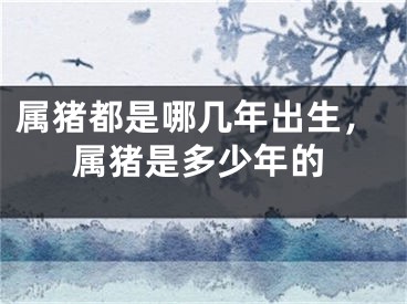 属猪都是哪几年出生,属猪是多少年的