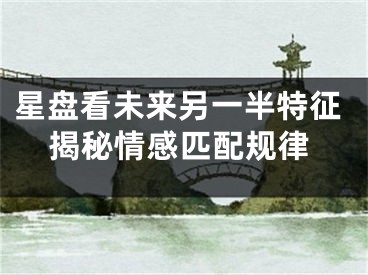 星盘看未来另一半特征揭秘情感匹配规律