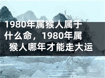 1980年属猴人属于什么命,1980年属猴人哪年才能走大运