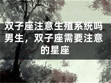 双子座注意生殖系统吗男生，双子座需要注意的星座