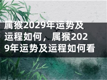 属猴2029年运势及运程如何，属猴2029年运势及运程如何看