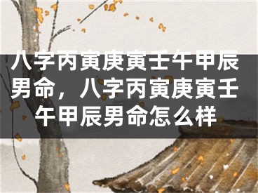 八字丙寅庚寅壬午甲辰男命，八字丙寅庚寅壬午甲辰男命怎么样