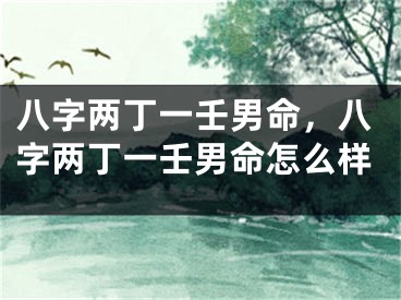 八字两丁一壬男命，八字两丁一壬男命怎么样