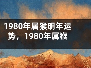 1980年属猴明年运势,1980年属猴