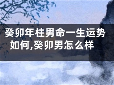 癸卯年柱男命一生运势如何,癸卯男怎么样