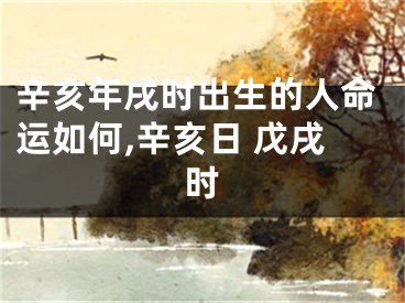辛亥年戌时出生的人命运如何,辛亥日 戊戌时