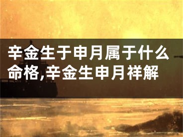 辛金生于申月属于什么命格,辛金生申月祥解