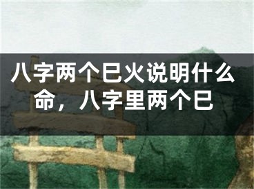 八字两个巳火说明什么命,八字里两个巳