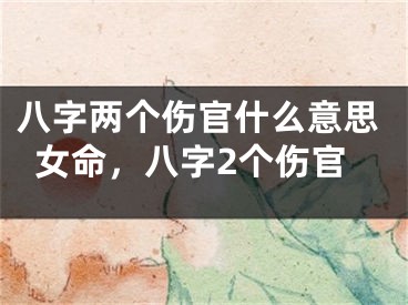 八字两个伤官什么意思女命,八字2个伤官