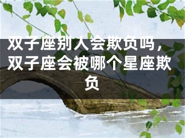 双子座别人会欺负吗,双子座会被哪个星座欺负