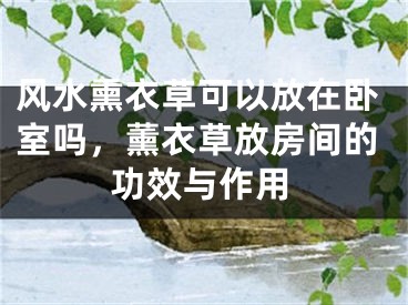 风水熏衣草可以放在卧室吗，薰衣草放房间的功效与作用