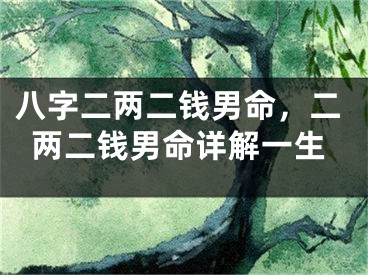 八字二两二钱男命，二两二钱男命详解一生