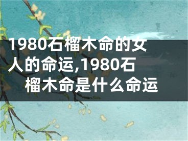 1980石榴木命的女人的命运,1980石榴木命是什么命运