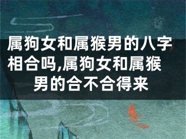 属狗女和属猴男的八字相合吗,属狗女和属猴男的合不合得来