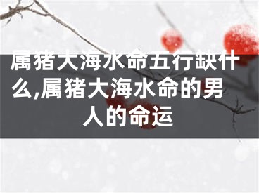属猪大海水命五行缺什么,属猪大海水命的男人的命运