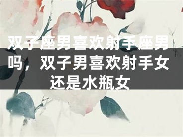 双子座男喜欢射手座男吗,双子男喜欢射手女还是水瓶女