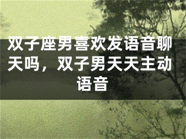 双子座男喜欢发语音聊天吗,双子男天天主动语音