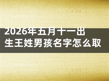 2026年五月十一出生王姓男孩名字怎么取
