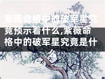 紫薇命格中的破军星究竟预示着什么,紫薇命格中的破军星究竟是什么