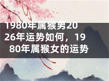 1980年属猴男2026年运势如何，1980年属猴女的运势