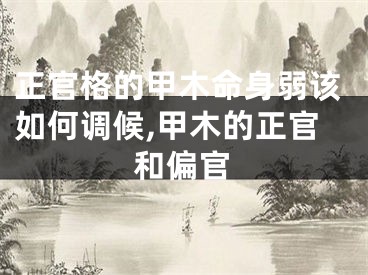 正官格的甲木命身弱该如何调候,甲木的正官和偏官