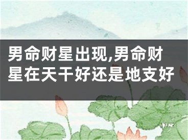 男命财星出现,男命财星在天干好还是地支好