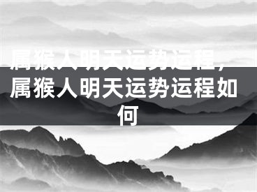 属猴人明天运势运程，属猴人明天运势运程如何