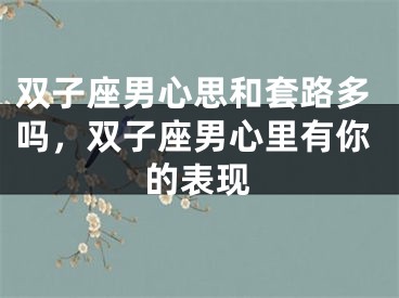 双子座男心思和套路多吗，双子座男心里有你的表现