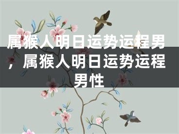 属猴人明日运势运程男，属猴人明日运势运程男性