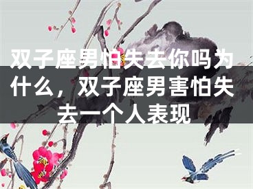 双子座男怕失去你吗为什么，双子座男害怕失去一个人表现