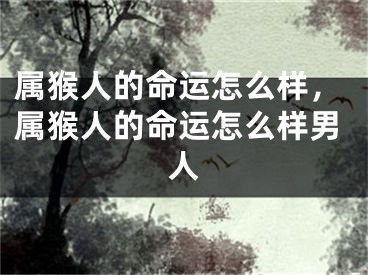 属猴人的命运怎么样,属猴人的命运怎么样男人
