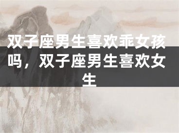 双子座男生喜欢乖女孩吗,双子座男生喜欢女生