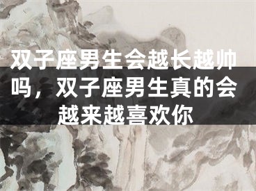 双子座男生会越长越帅吗,双子座男生真的会越来越喜欢你
