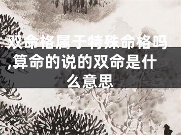 双命格属于特殊命格吗,算命的说的双命是什么意思