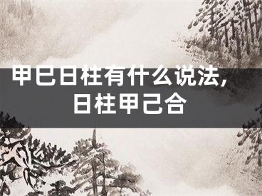 甲巳日柱有什么说法,日柱甲己合