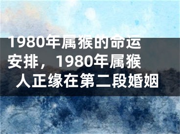 1980年属猴的命运安排，1980年属猴人正缘在第二段婚姻