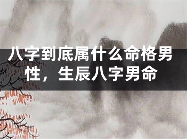 八字到底属什么命格男性,生辰八字男命
