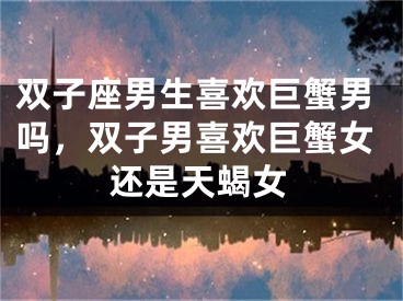 双子座男生喜欢巨蟹男吗,双子男喜欢巨蟹女还是天蝎女