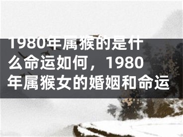 1980年属猴的是什么命运如何,1980年属猴女的婚姻和命运