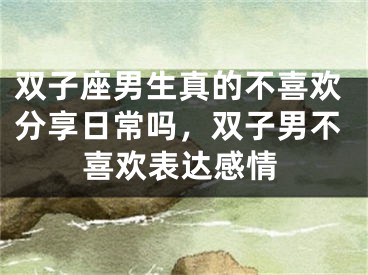 双子座男生真的不喜欢分享日常吗，双子男不喜欢表达感情