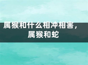 属猴和什么相冲相害,属猴和蛇