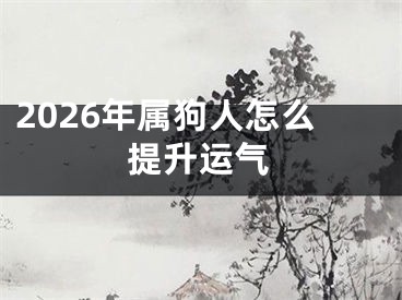 2026年属狗人怎么提升运气