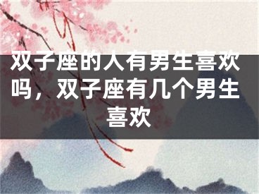 双子座的人有男生喜欢吗，双子座有几个男生喜欢