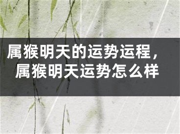 属猴明天的运势运程，属猴明天运势怎么样