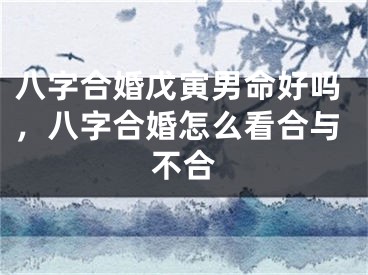 八字合婚戊寅男命好吗，八字合婚怎么看合与不合